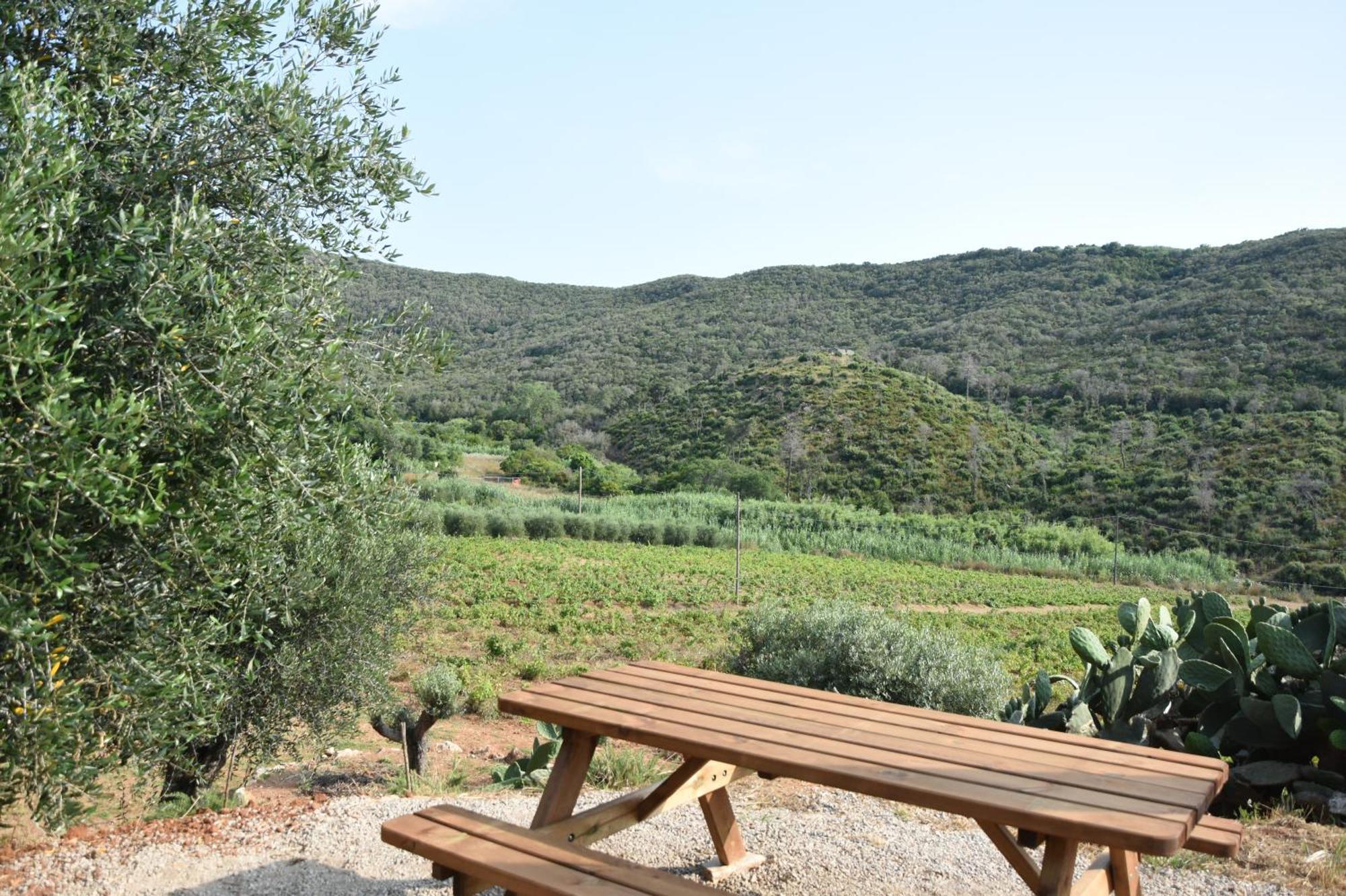 Elba Borgo Di Latrano Lägenhet Magazzini  Exteriör bild